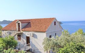 Apartments Bacic